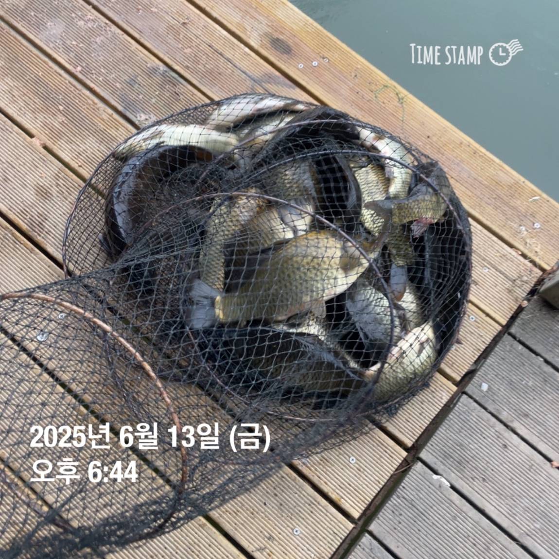 KakaoTalk_20250615_161558761_03.jpg