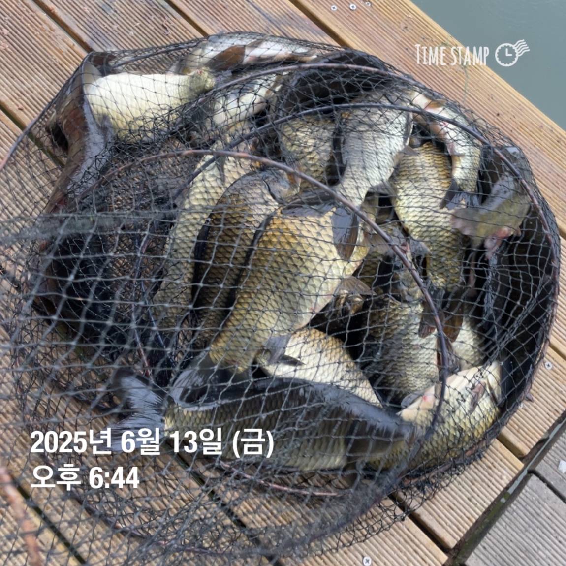 KakaoTalk_20250615_161558761_04.jpg