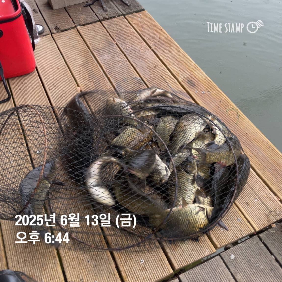 KakaoTalk_20250615_161558761_05.jpg