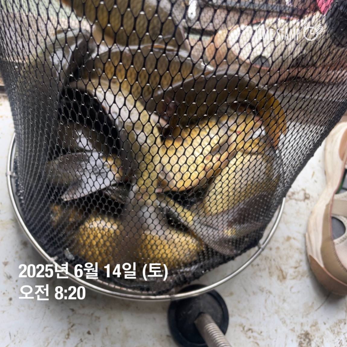 KakaoTalk_20250615_161558761_09.jpg