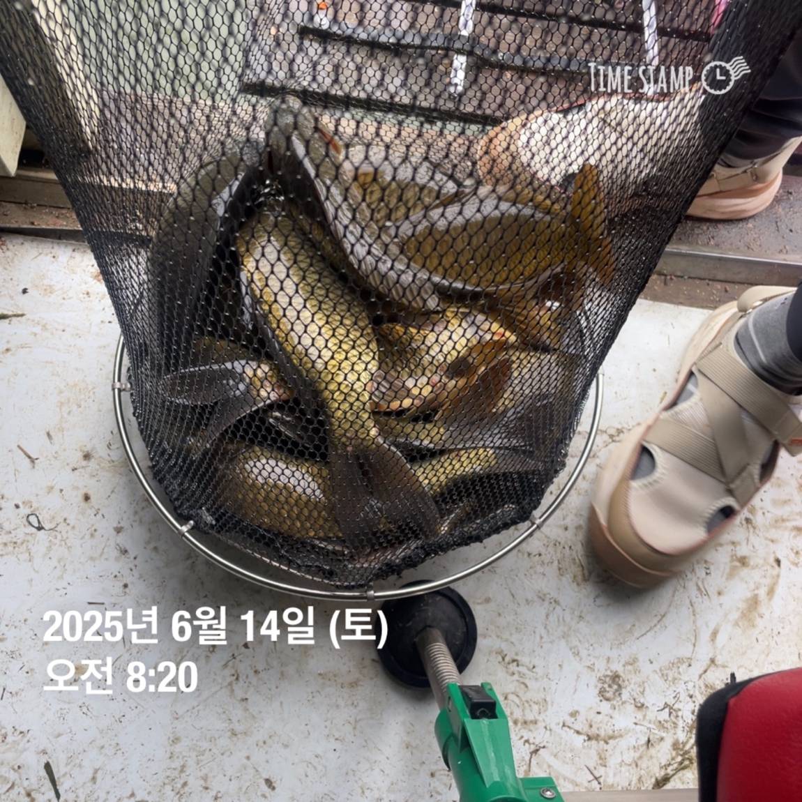 KakaoTalk_20250615_161558761_08.jpg