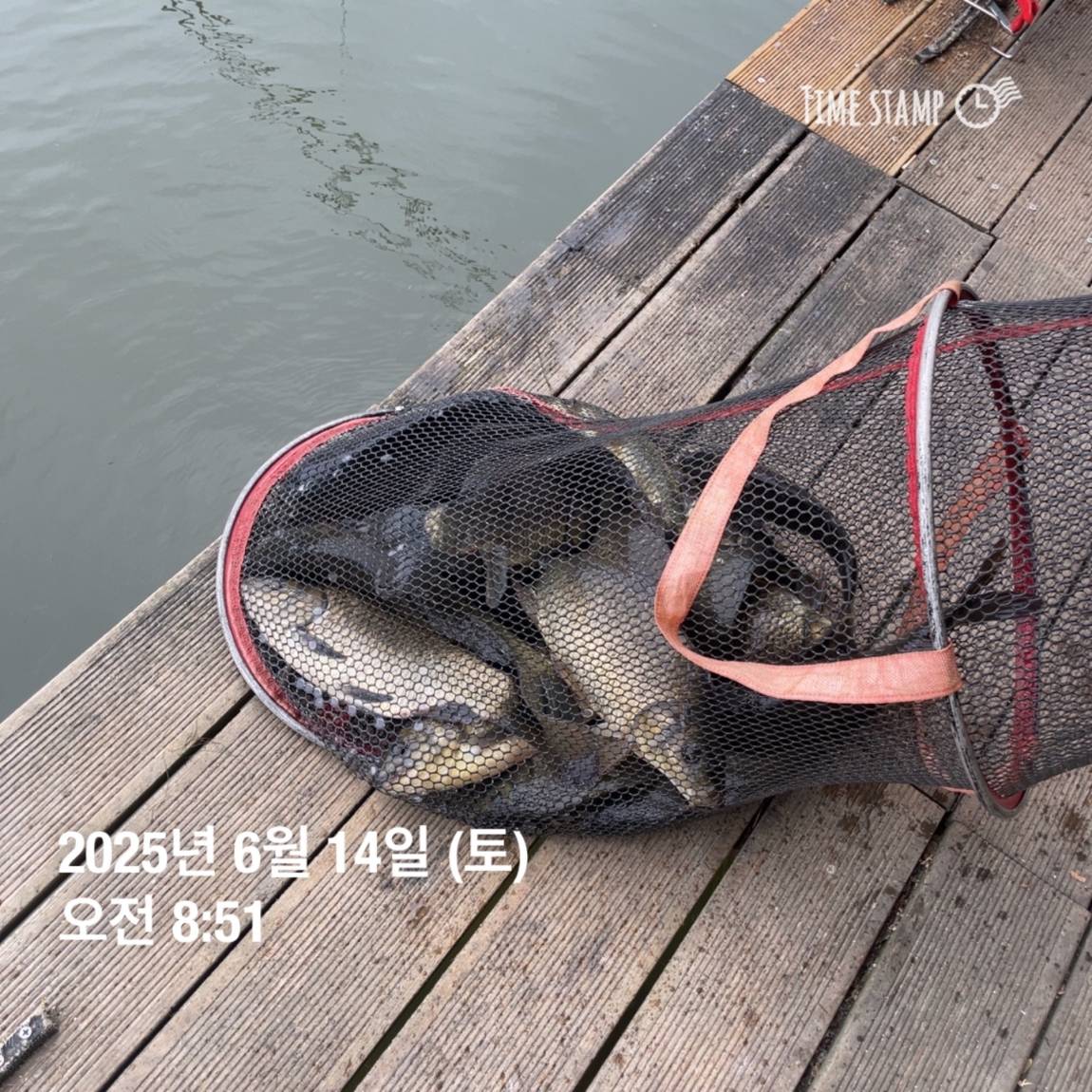 KakaoTalk_20250615_161558761_14.jpg