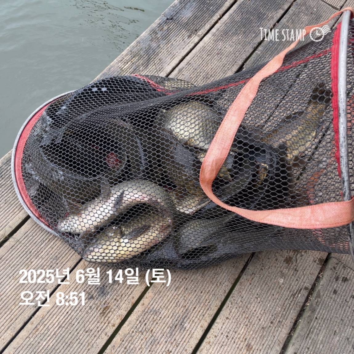 KakaoTalk_20250615_161558761_13.jpg