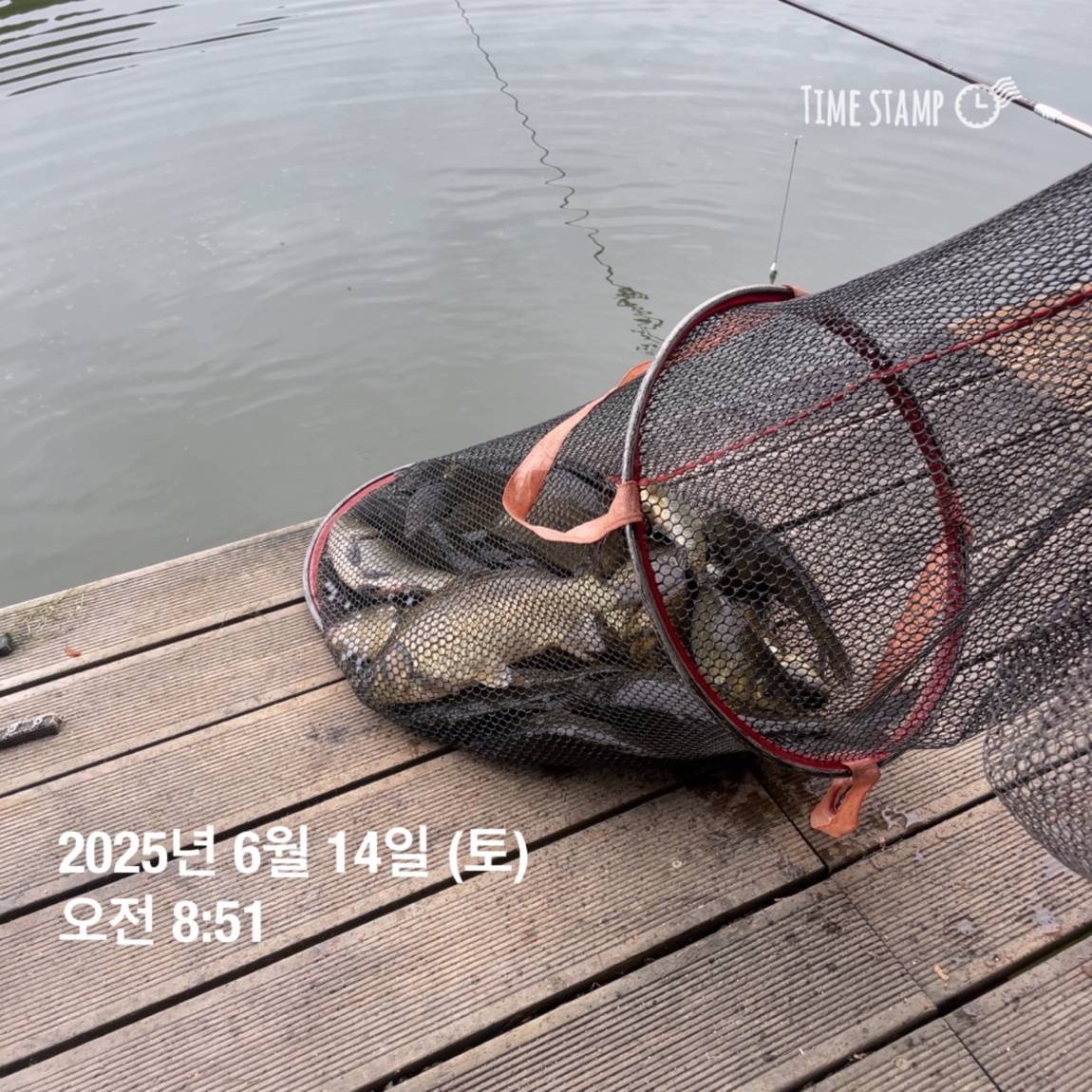 KakaoTalk_20250615_161558761_15.jpg
