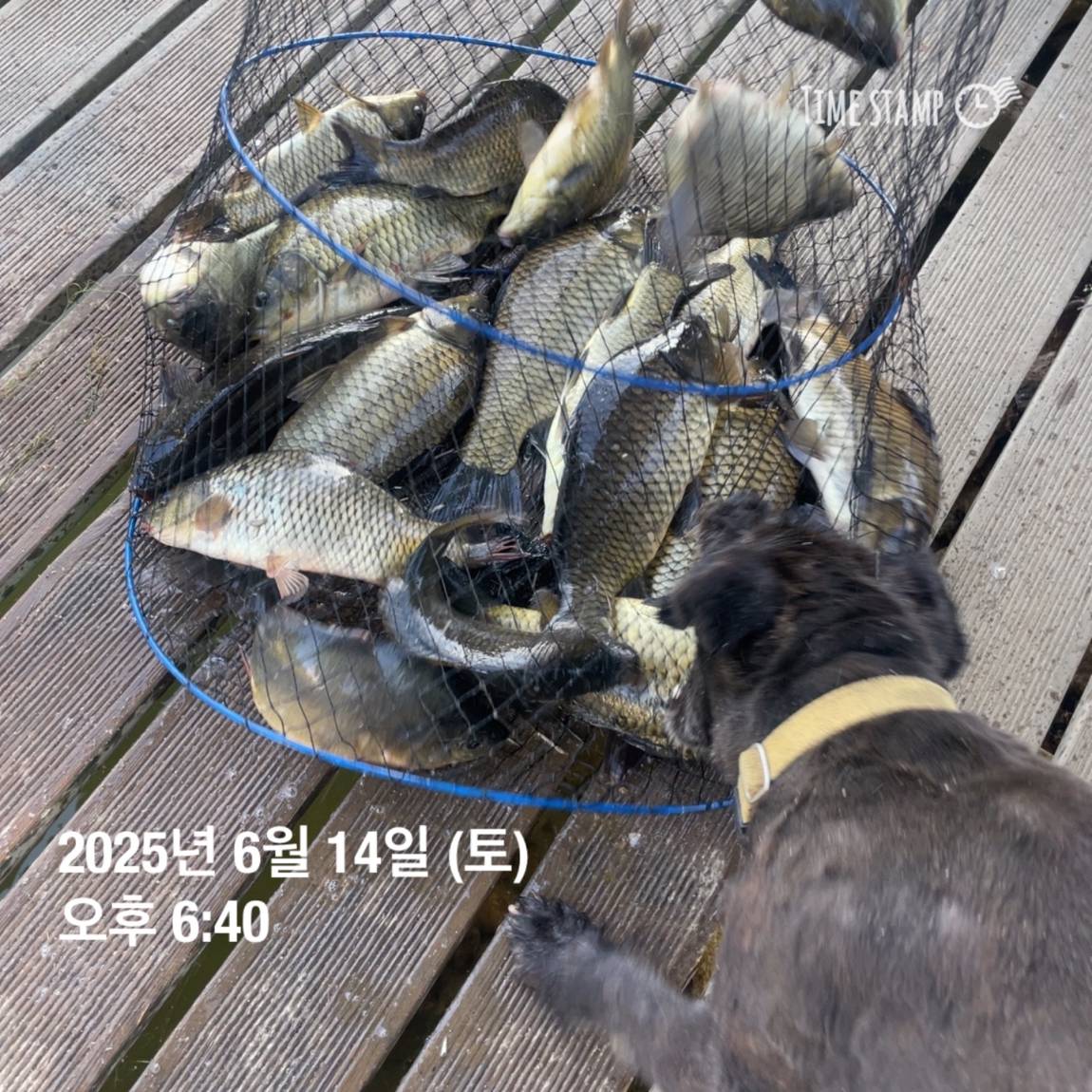 KakaoTalk_20250615_161558761_18.jpg