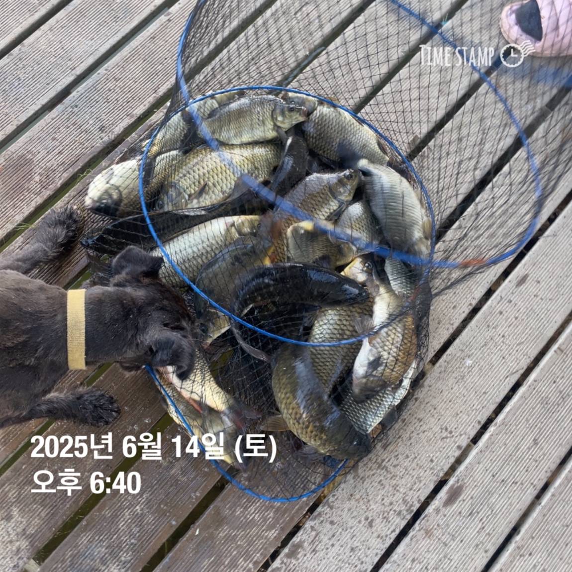 KakaoTalk_20250615_161558761_17.jpg