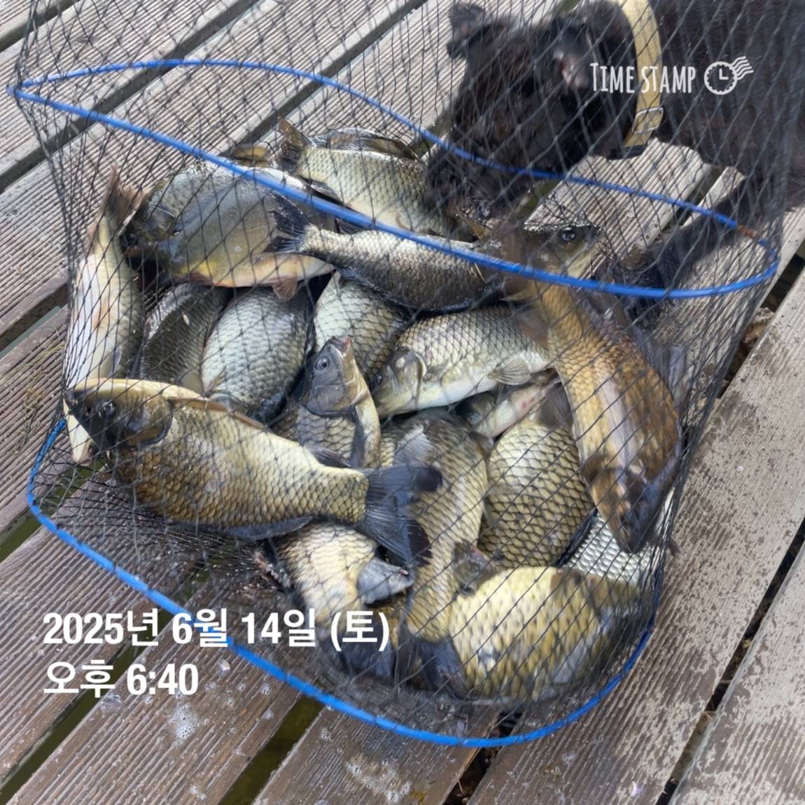 KakaoTalk_20250615_161558761_20.jpg