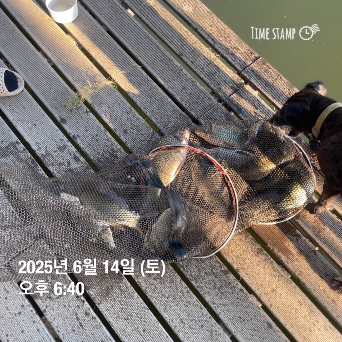 KakaoTalk_20250615_161558761_22.jpg