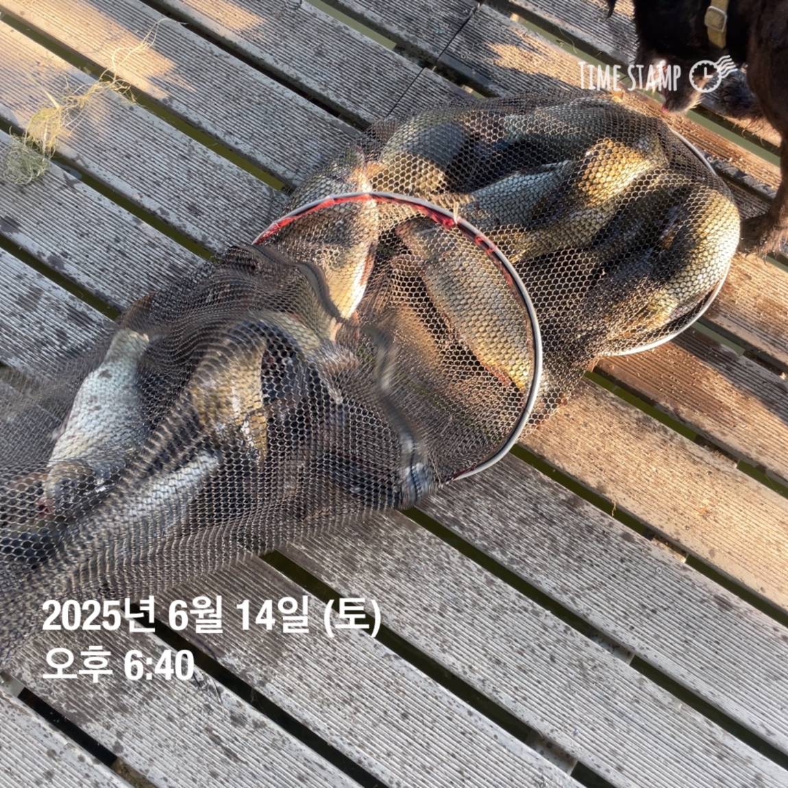 KakaoTalk_20250615_161558761_23.jpg