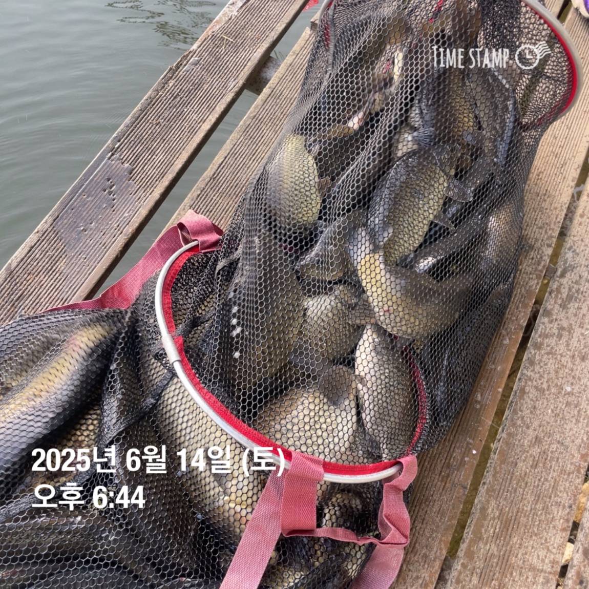 KakaoTalk_20250615_161604604.jpg