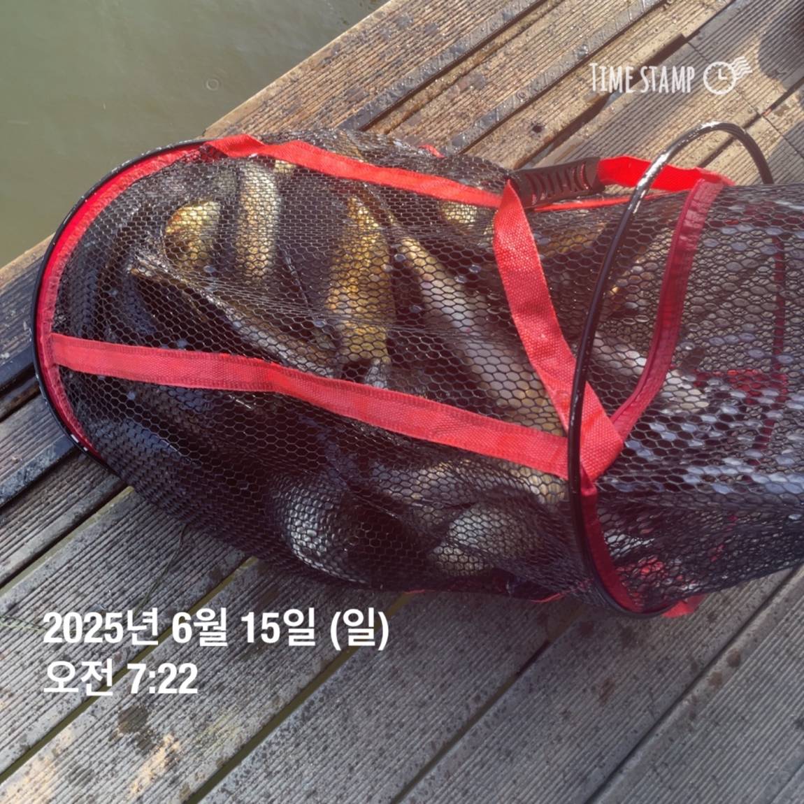 KakaoTalk_20250615_161604604_13.jpg