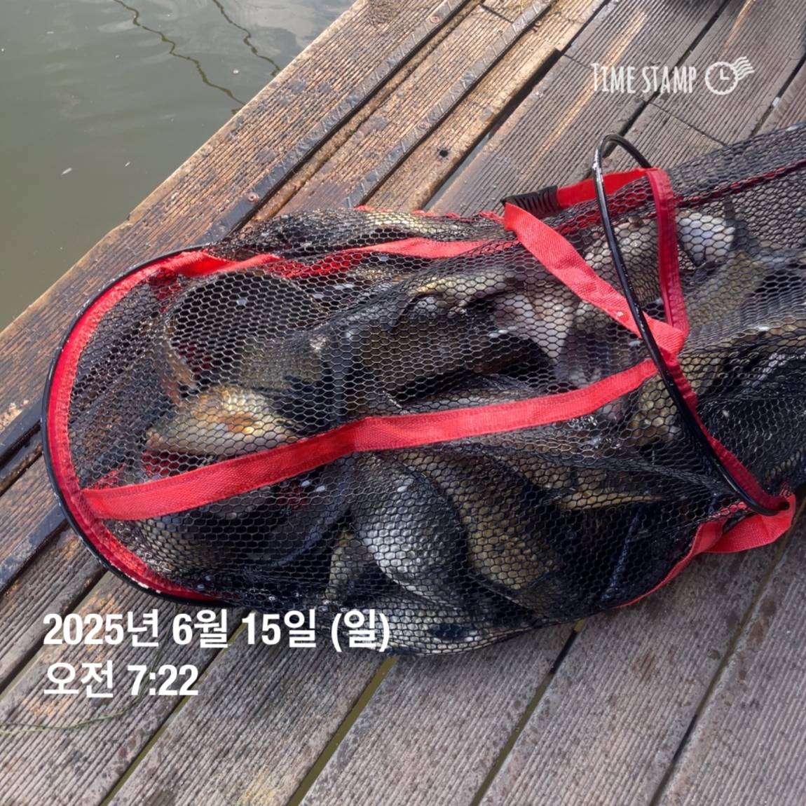 KakaoTalk_20250615_161604604_14.jpg
