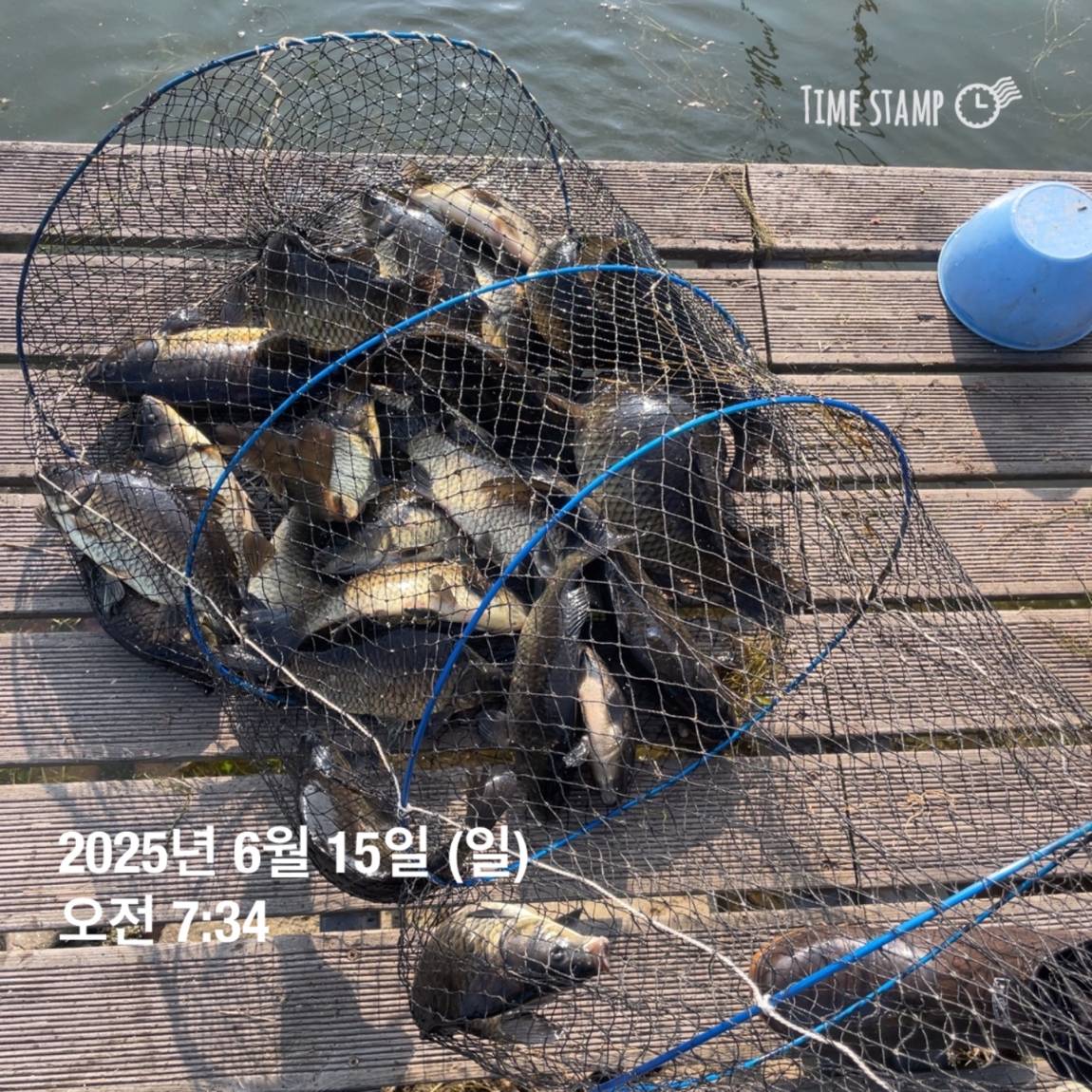 KakaoTalk_20250615_161604604_23.jpg