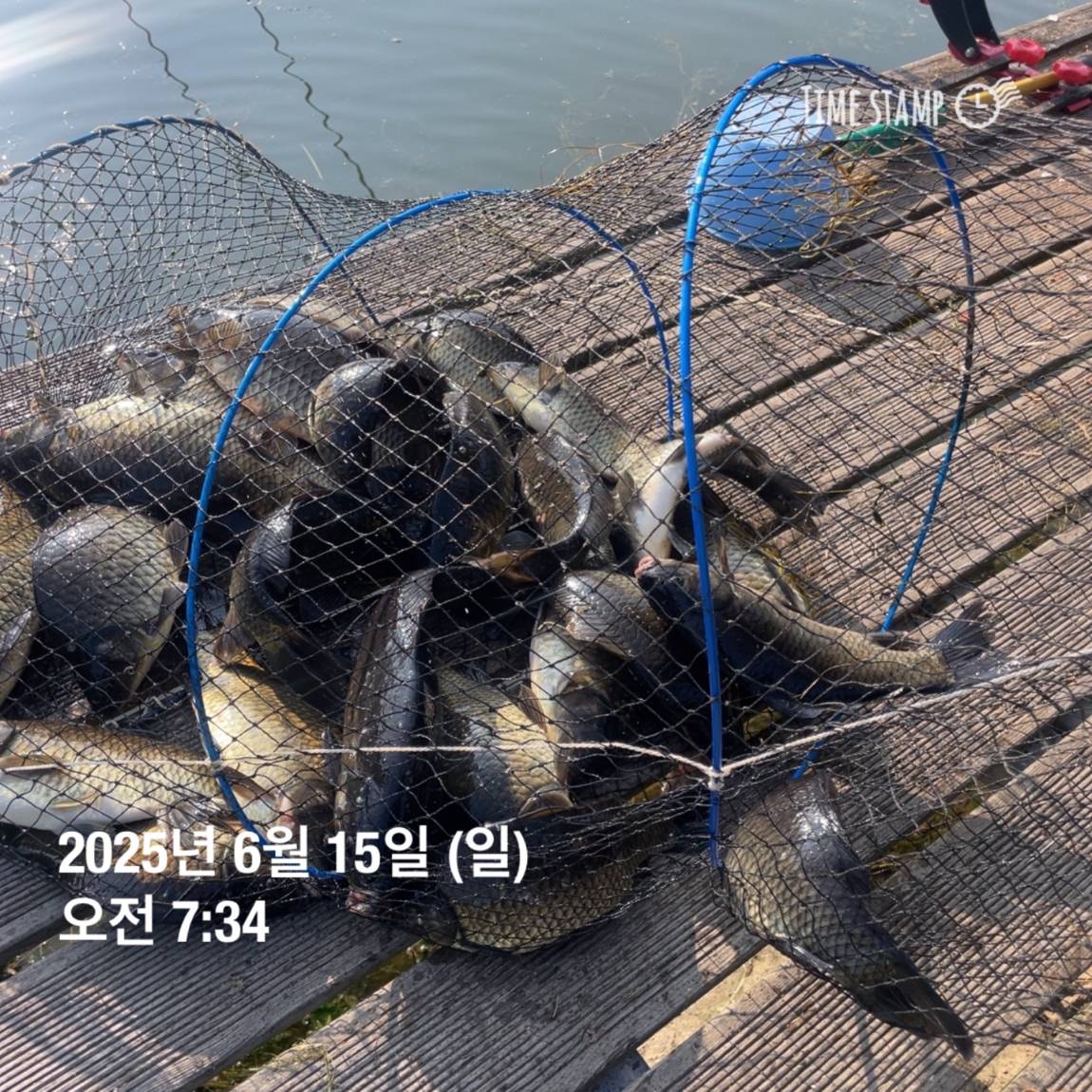 KakaoTalk_20250615_161604604_25.jpg