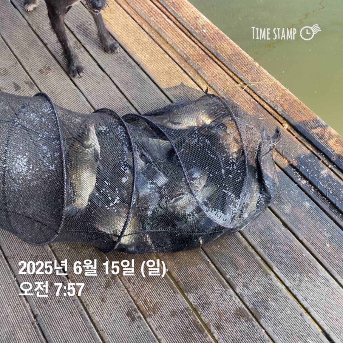 KakaoTalk_20250615_161609902_01.jpg