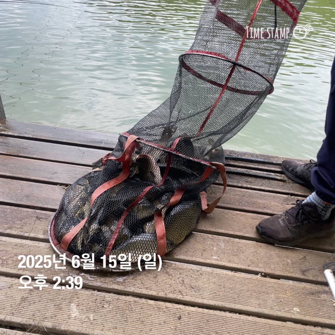 KakaoTalk_20250615_161609902_08.jpg