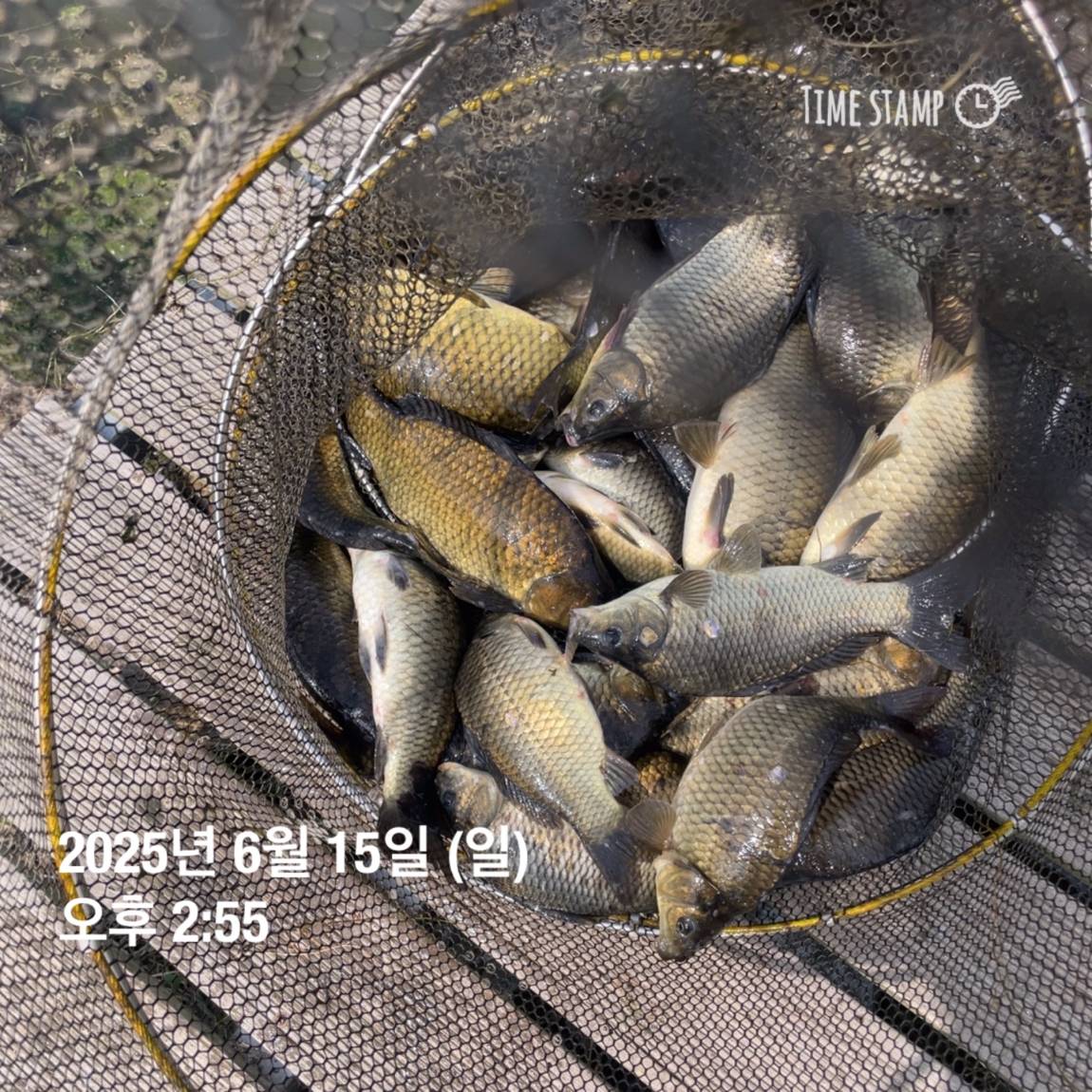 KakaoTalk_20250615_161609902_11.jpg