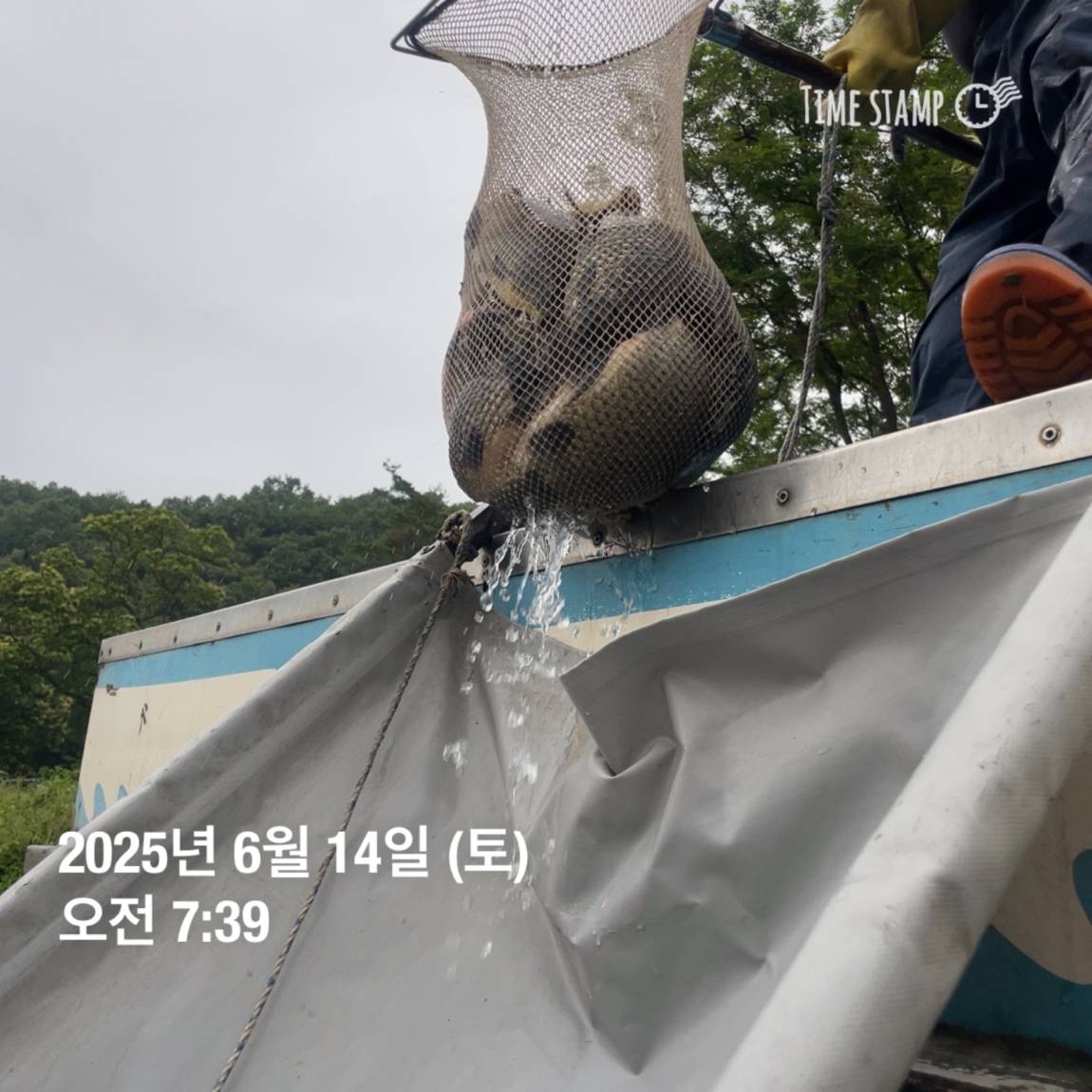 KakaoTalk_20250615_161609902_13.jpg