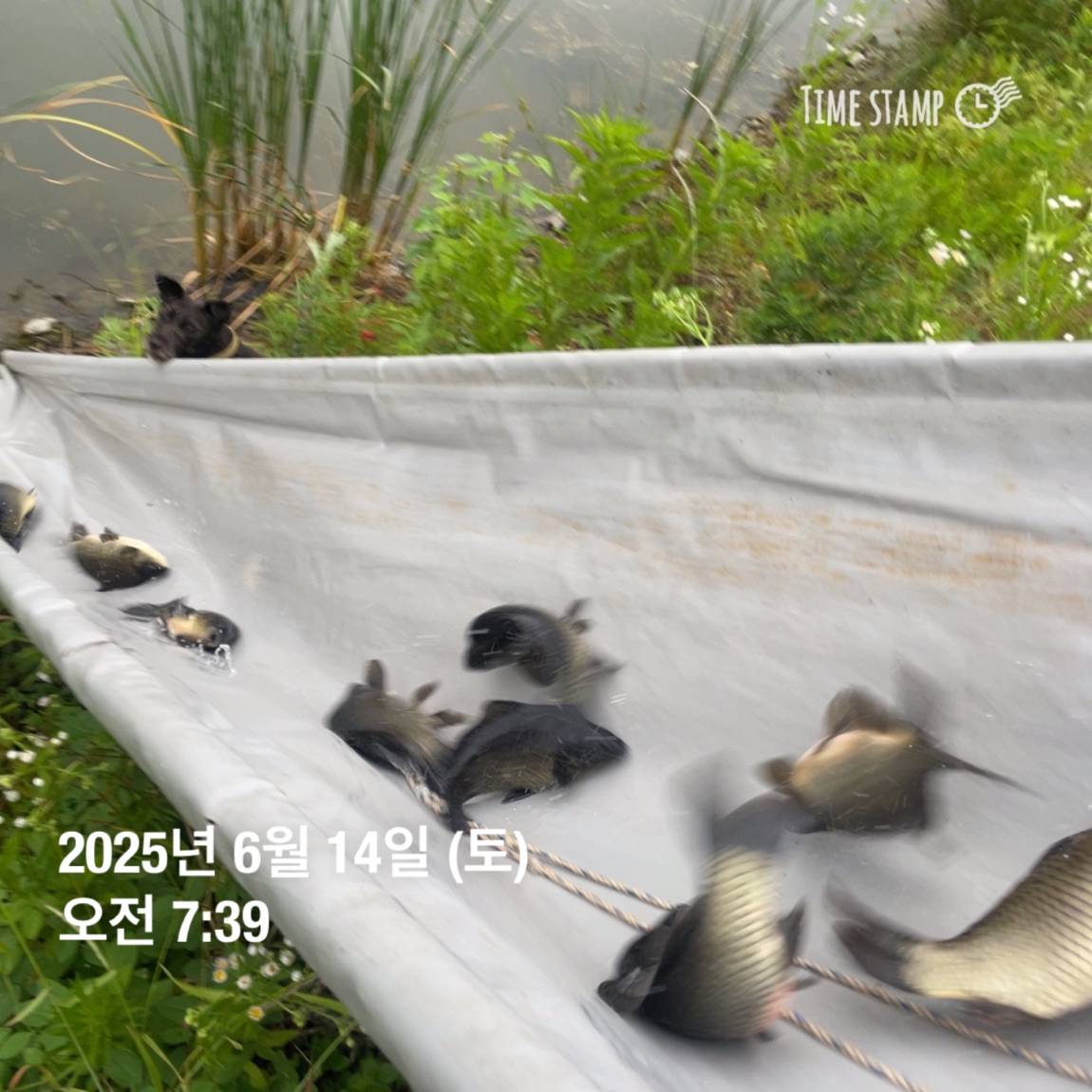KakaoTalk_20250615_161609902_14.jpg