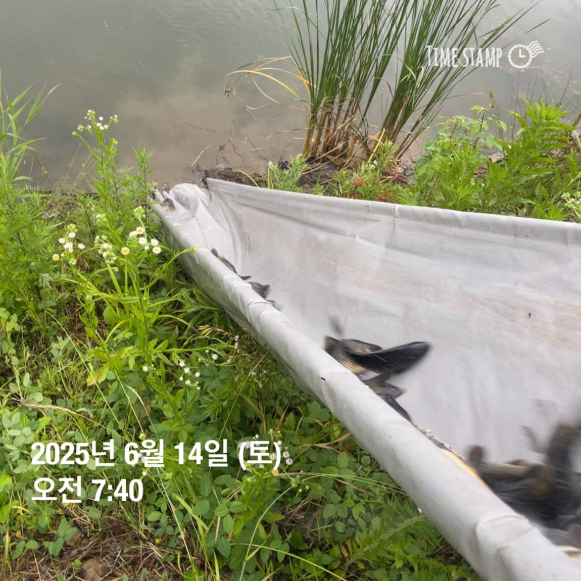 KakaoTalk_20250615_161609902_16.jpg