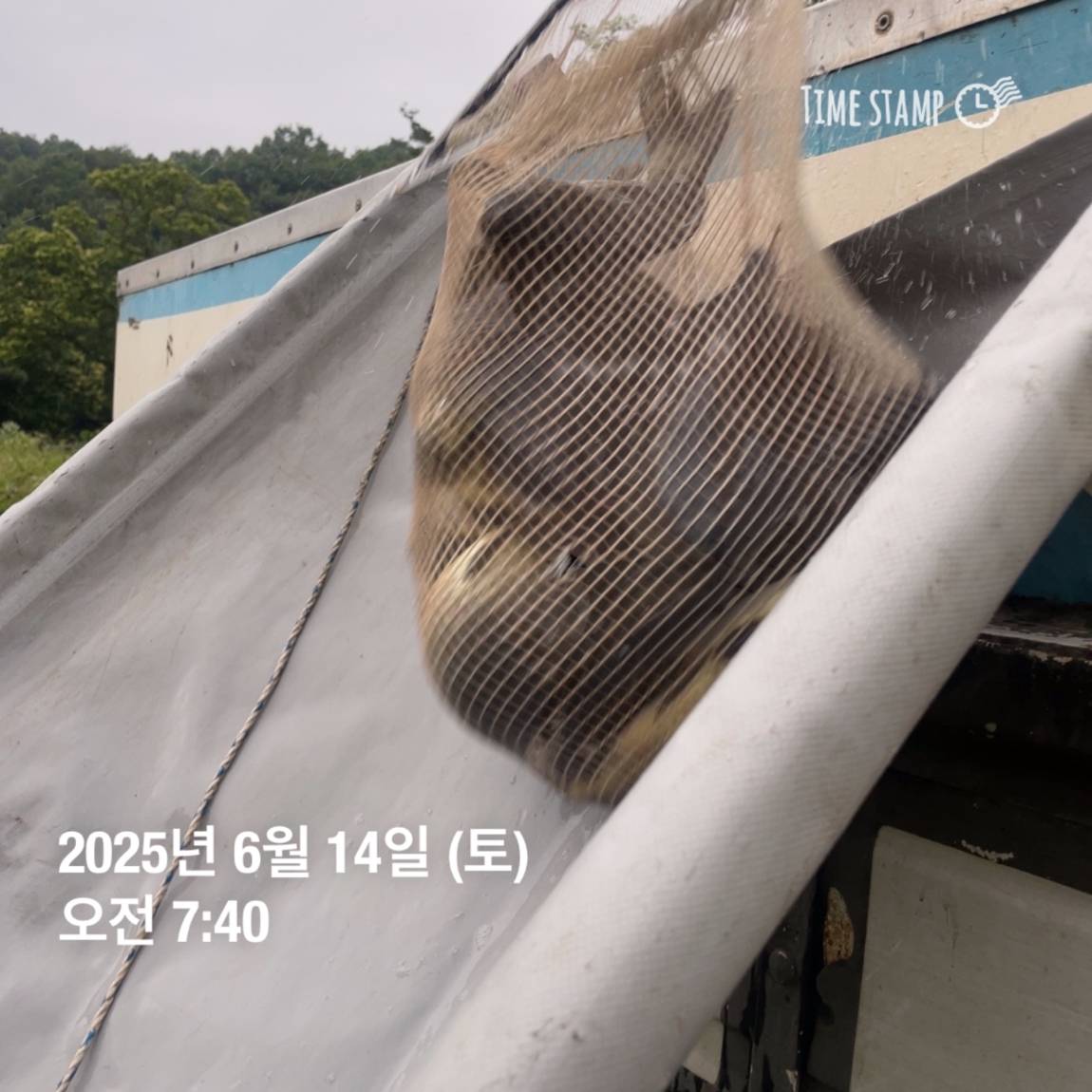 KakaoTalk_20250615_161609902_17.jpg