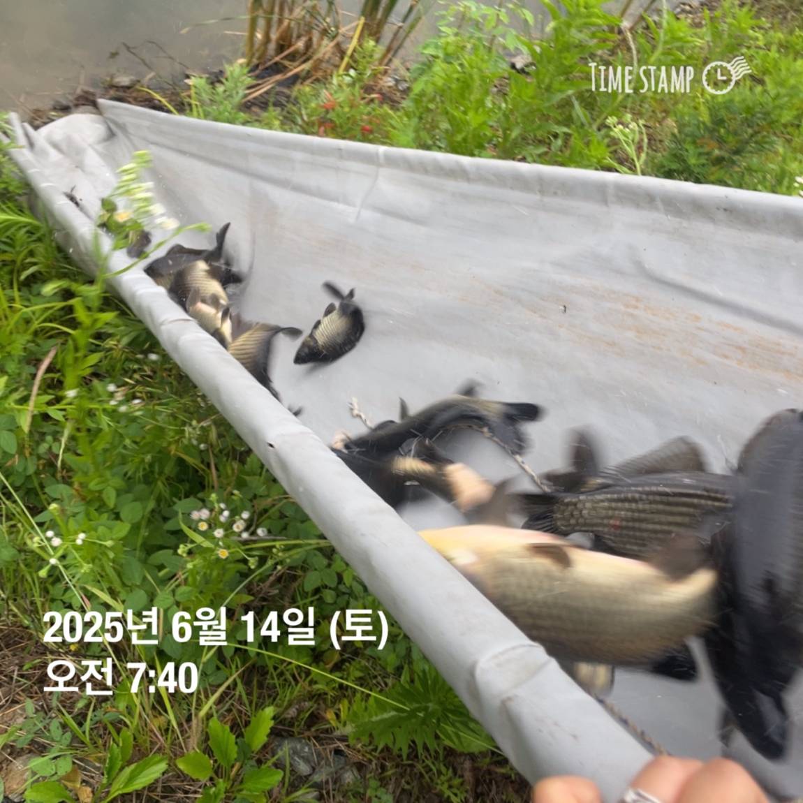 KakaoTalk_20250615_161609902_18.jpg