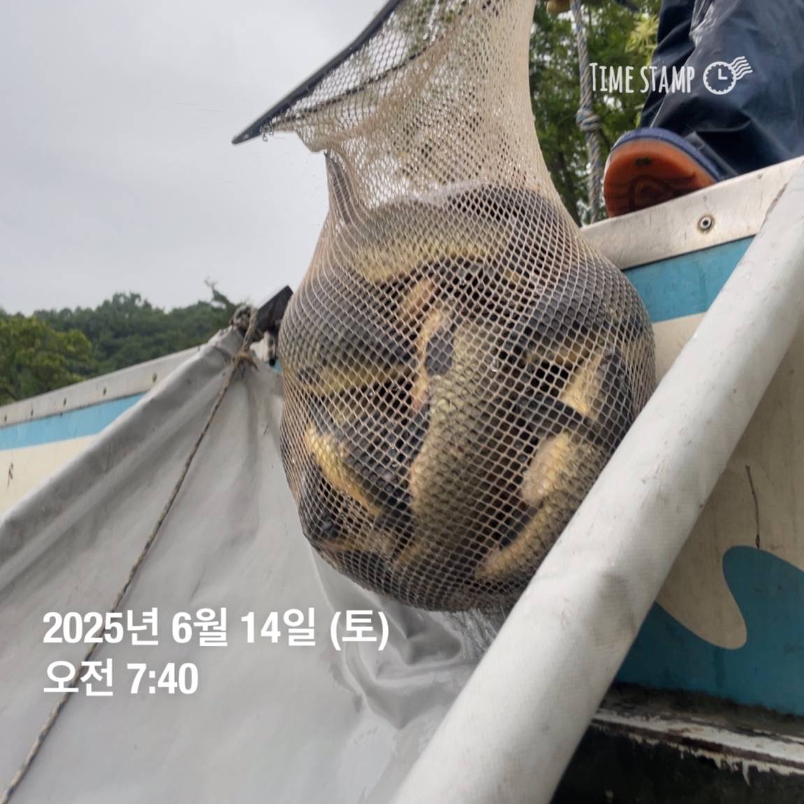 KakaoTalk_20250615_161609902_19.jpg