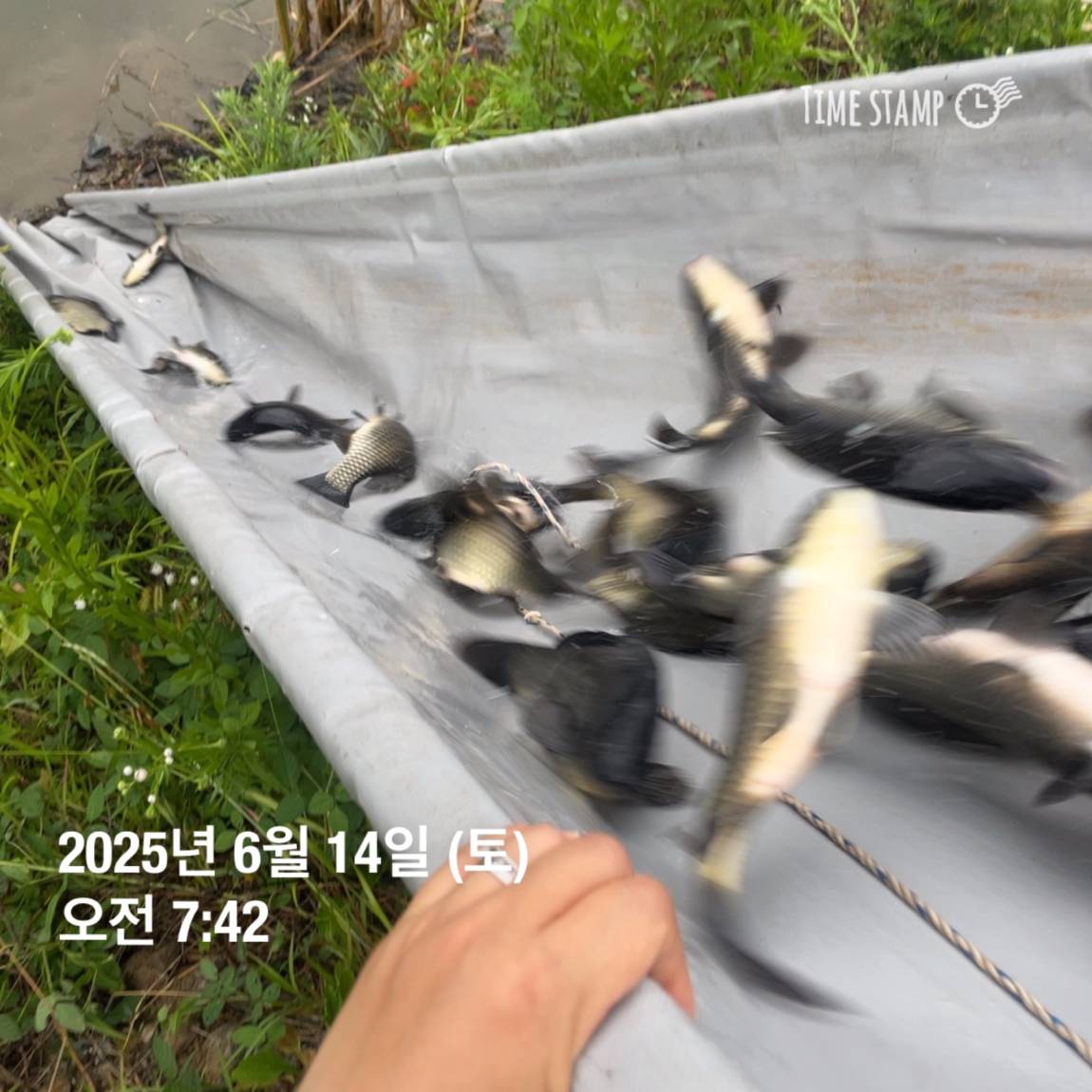 KakaoTalk_20250615_161609902_23.jpg