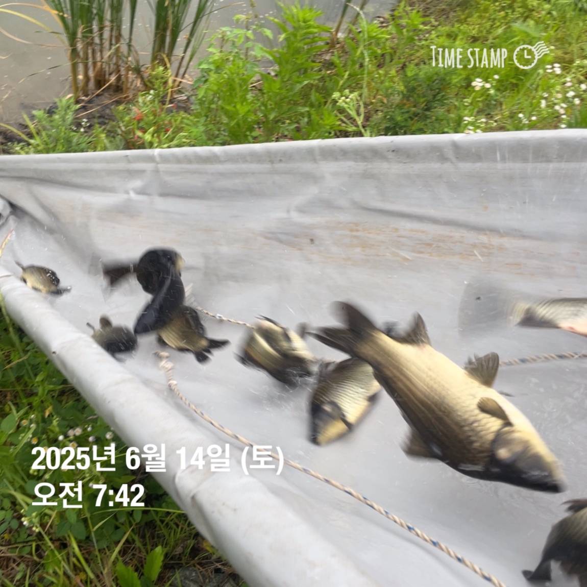 KakaoTalk_20250615_161609902_25.jpg