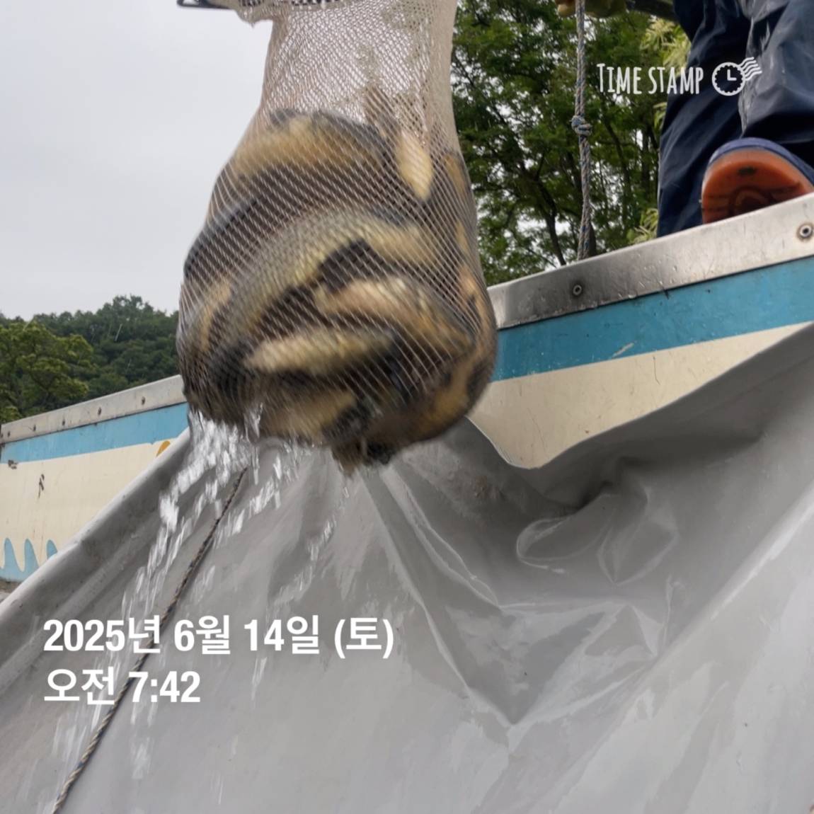 KakaoTalk_20250615_161609902_24.jpg