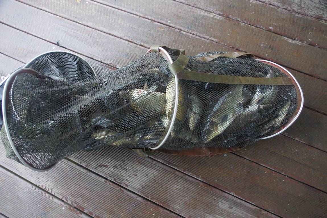 DSC01122.JPG