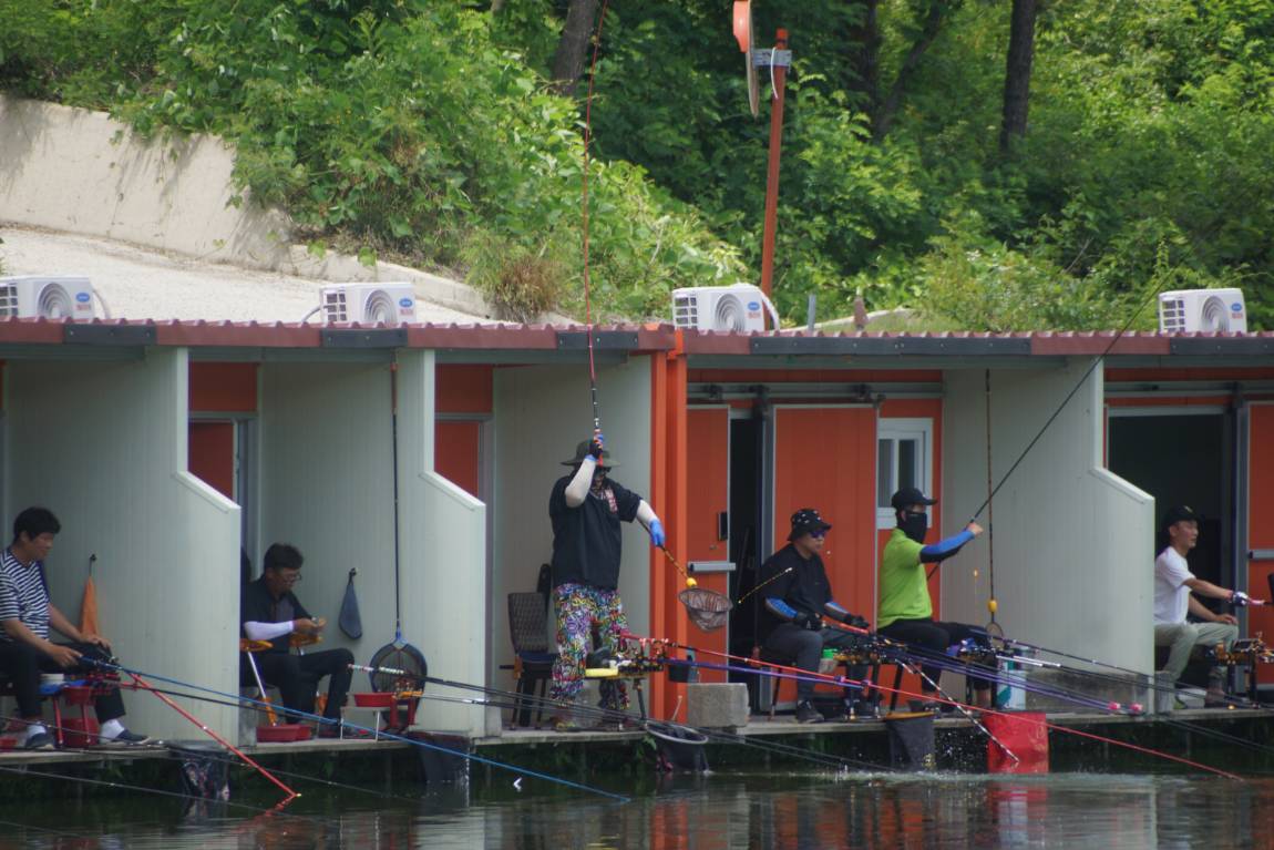 DSC01155.JPG