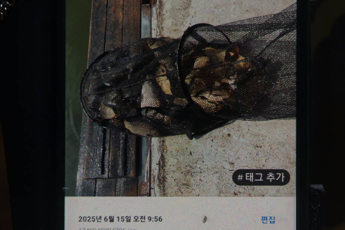 DSC01189.JPG