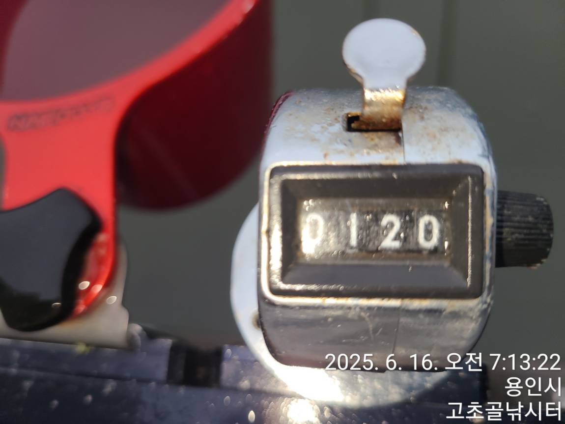 1750031421560.jpg
