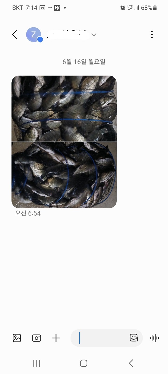 1750031421675.jpg