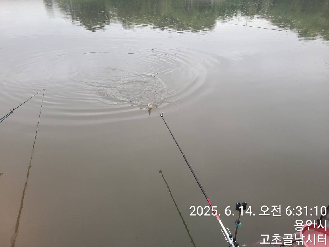 1749946351634.jpg