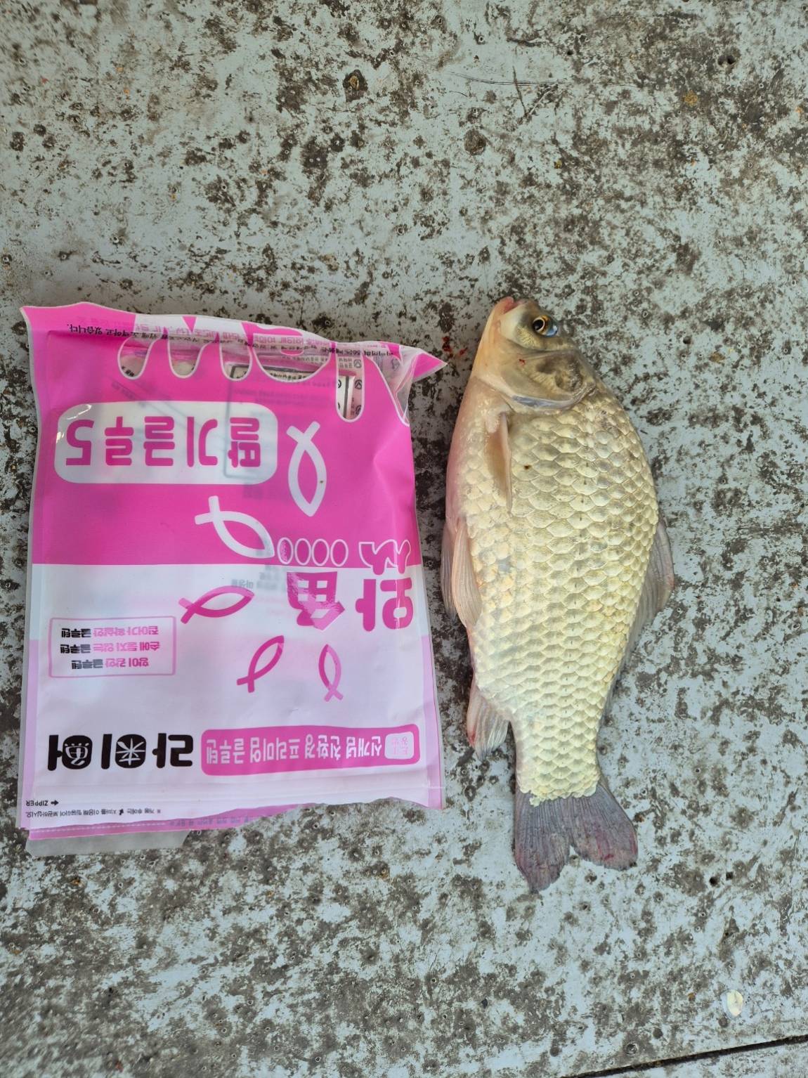 KakaoTalk_20250616_114822490_11.jpg