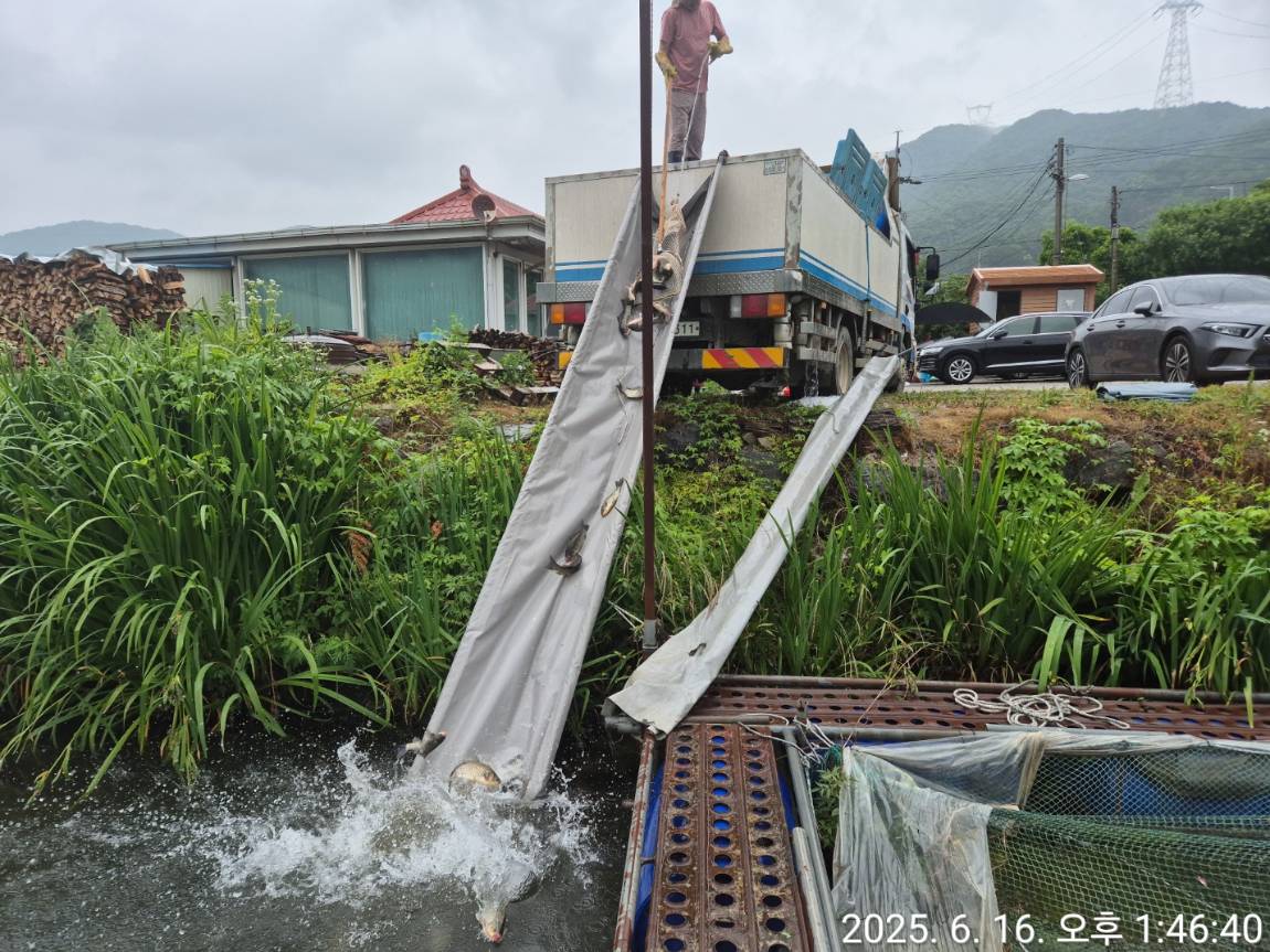 KakaoTalk_20250616_142841140_09.jpg
