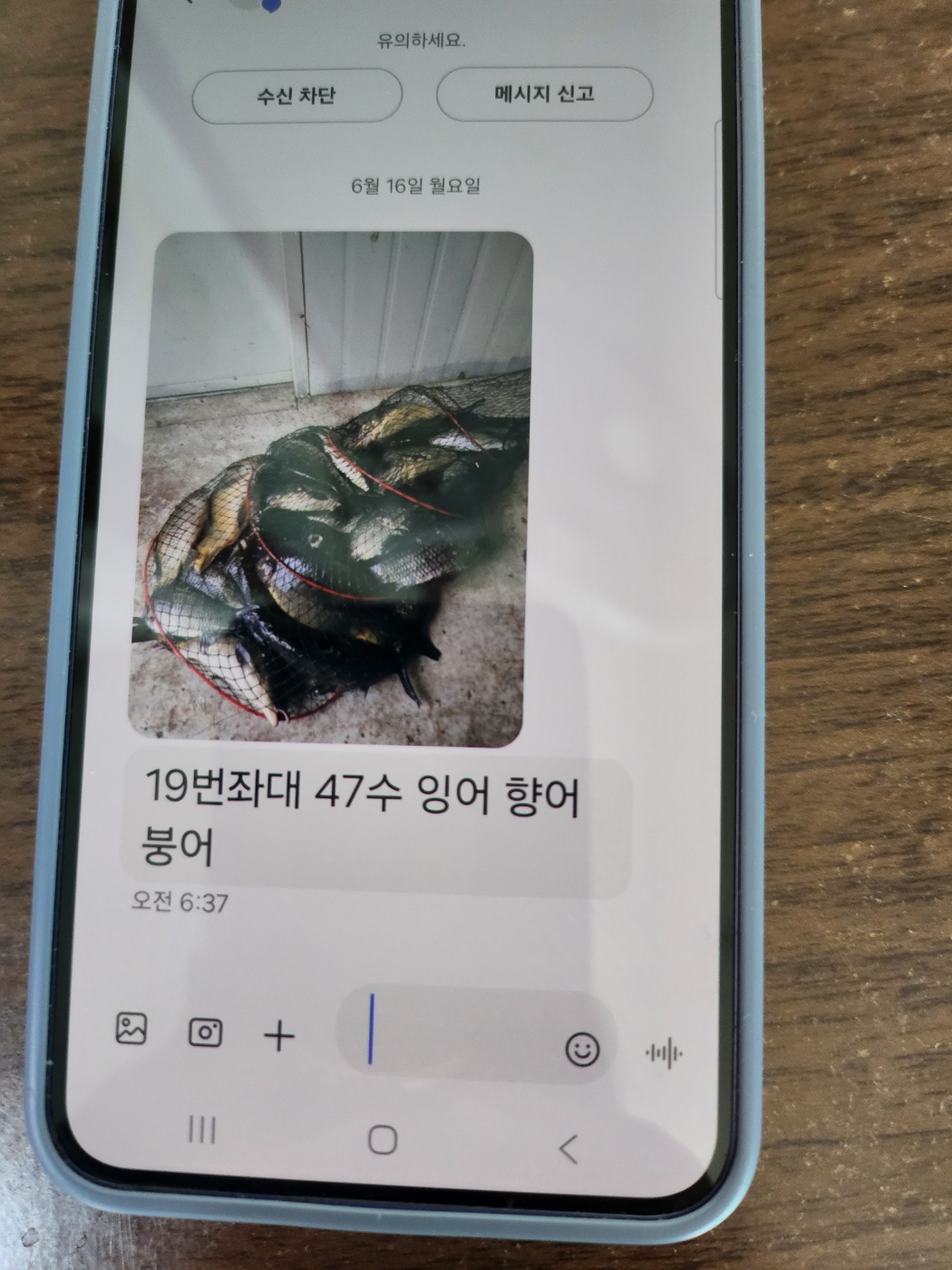 KakaoTalk_20250616_142947658.jpg