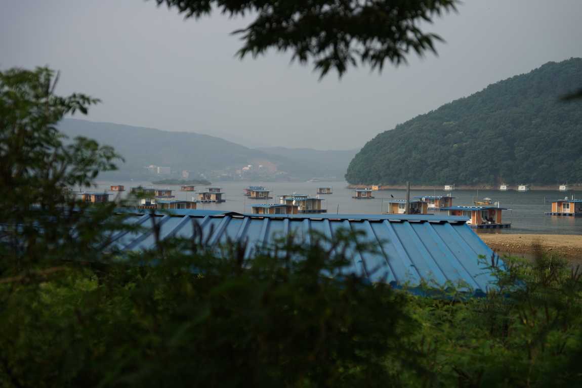 DSC08931.JPG