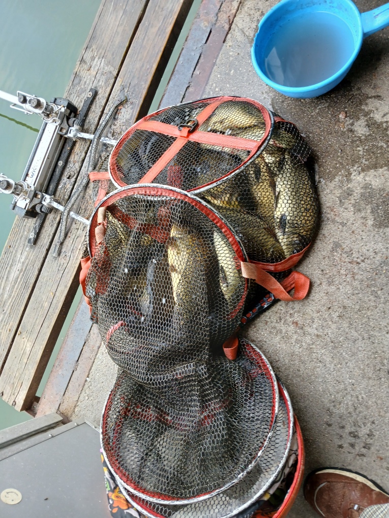 KakaoTalk_20250615_093402554.jpg