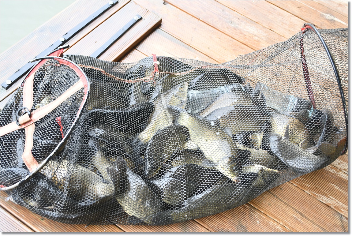DSC_3332.JPG