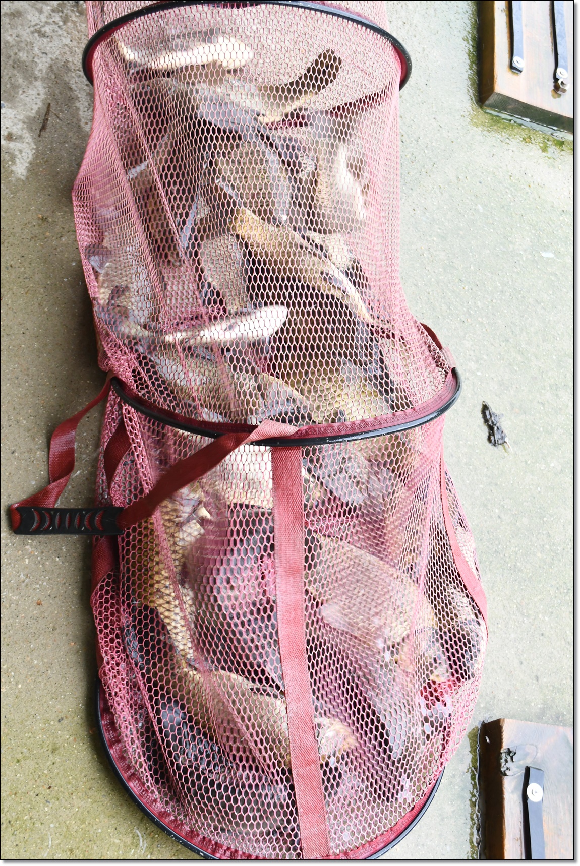 DSC_3388.JPG