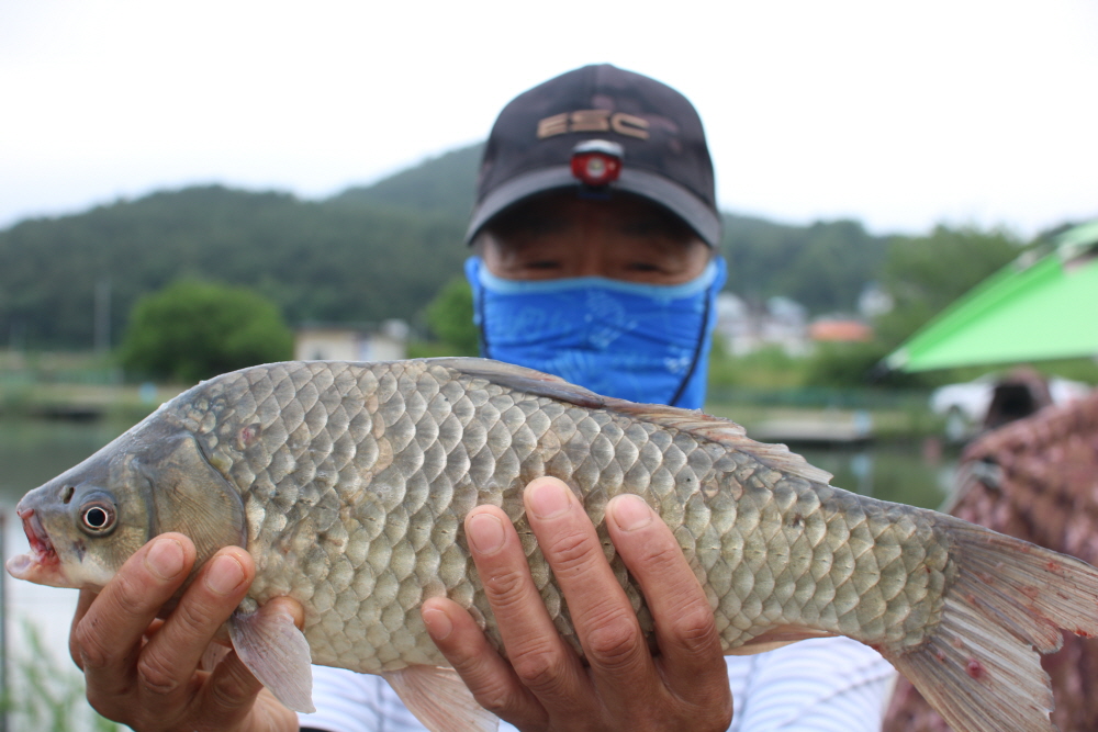[크기변환]IMG_5911.JPG