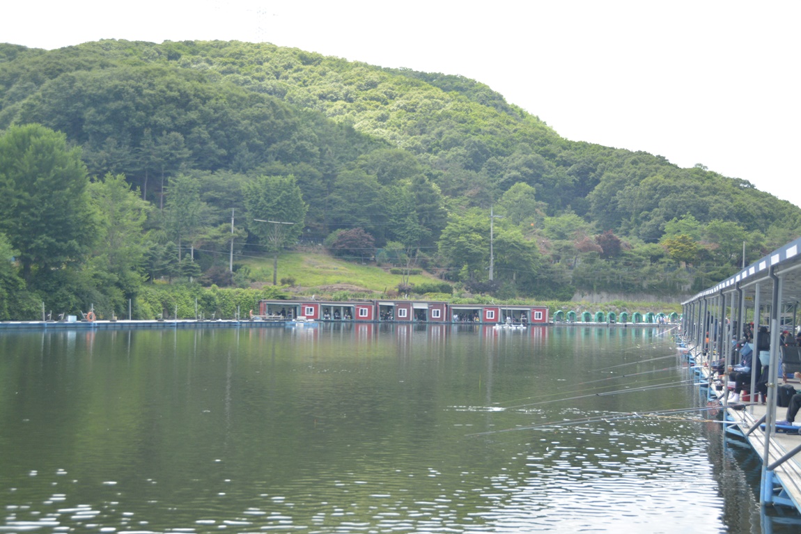 _7101802.JPG