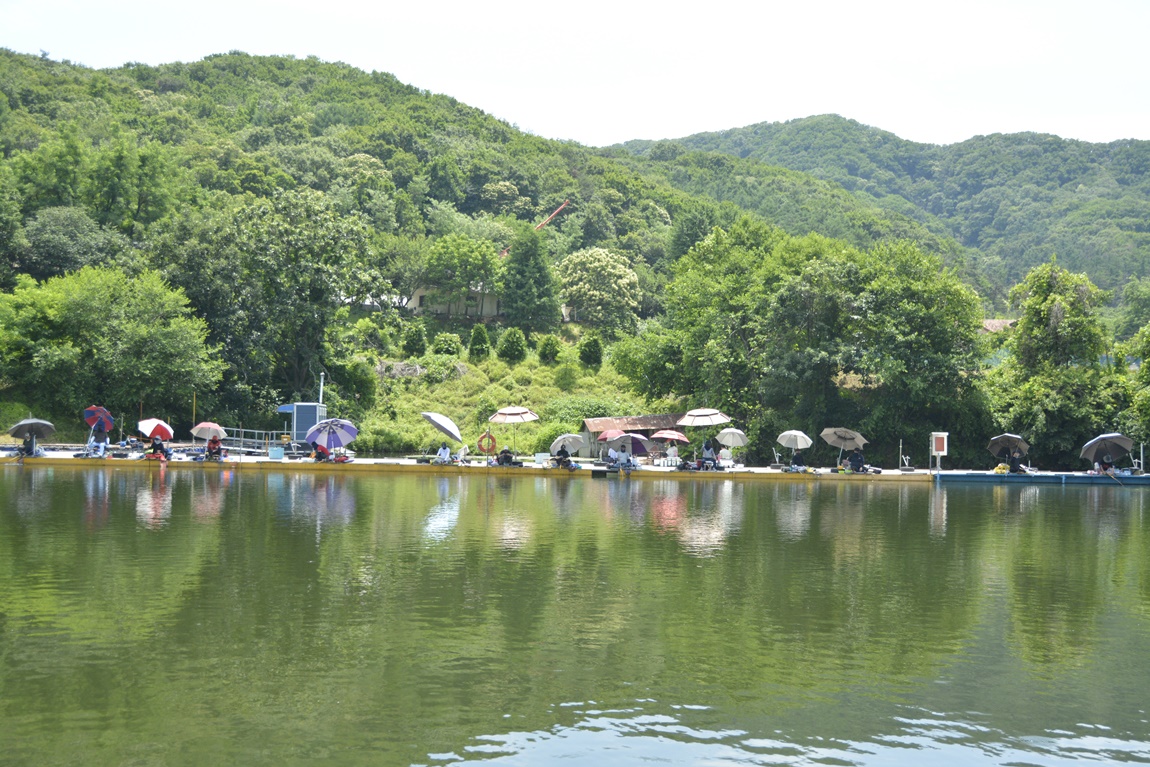 _7101825.JPG