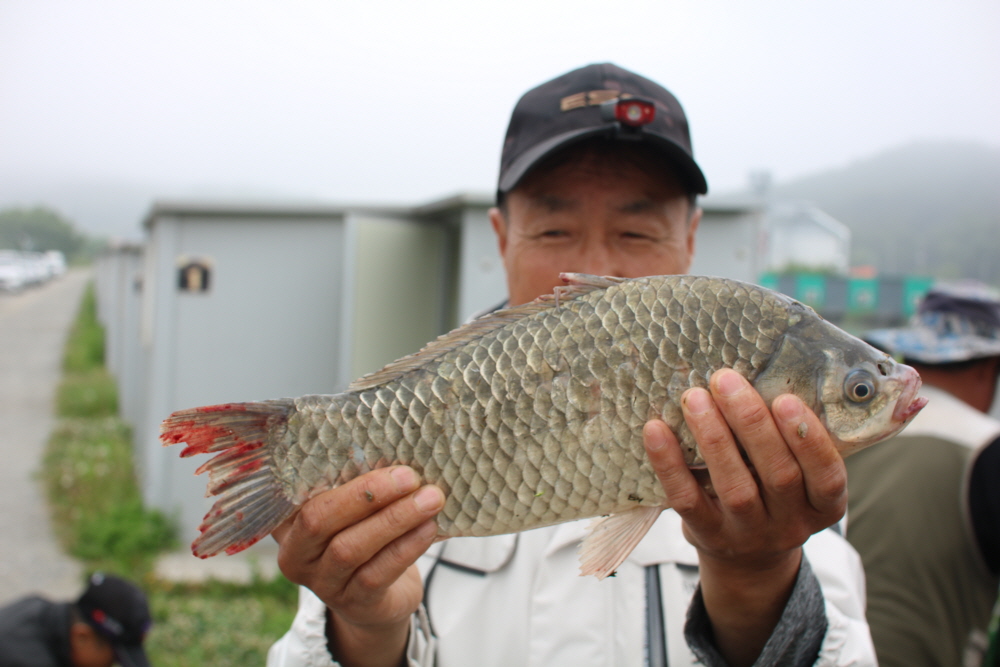 [크기변환]IMG_5946.JPG