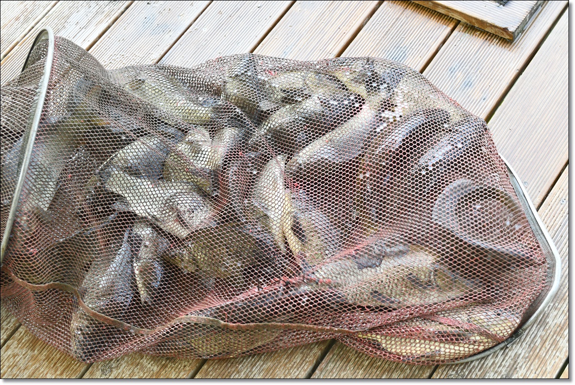 DSC_3410.JPG