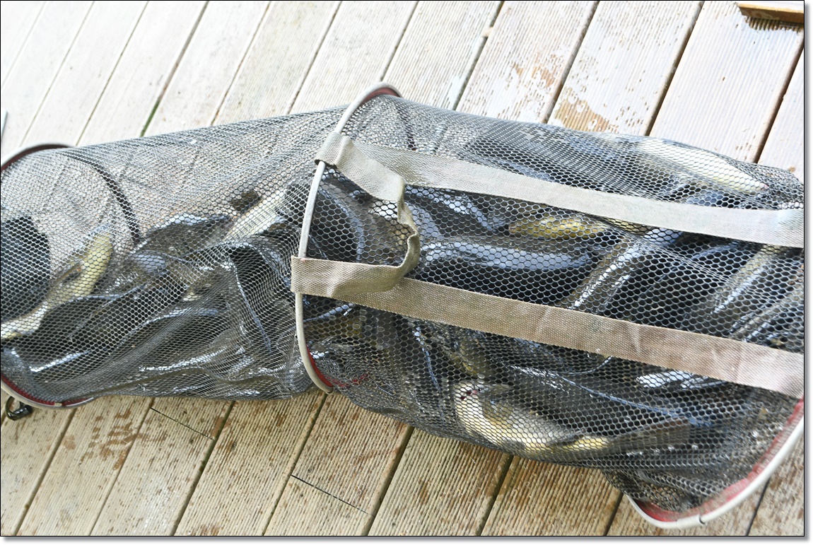 DSC_3413.JPG
