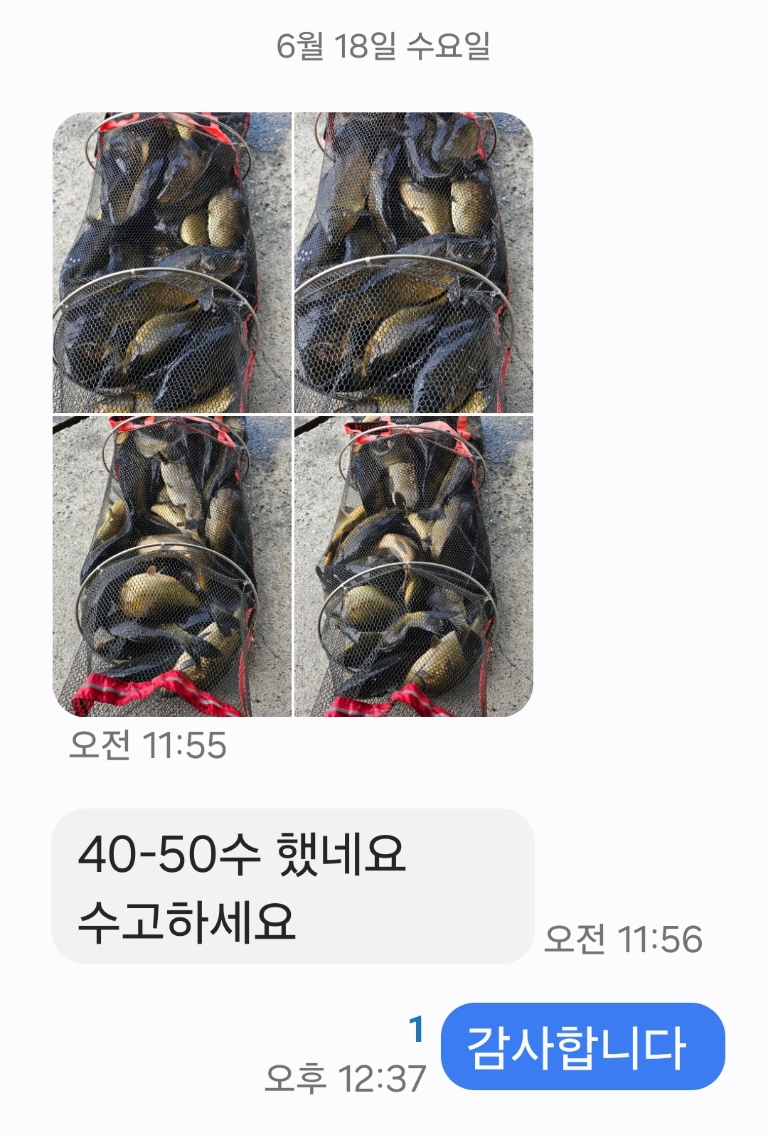 KakaoTalk_20250618_123758448.jpg